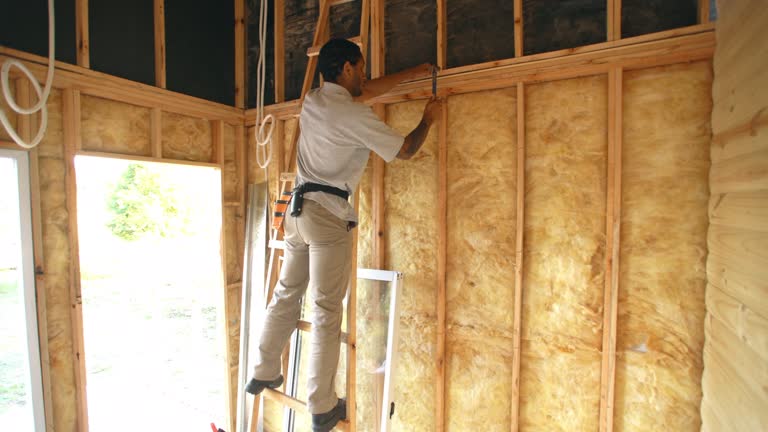 Professional Insulation in Deale, MD